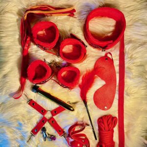 11 pcs bondage set with vibrator red